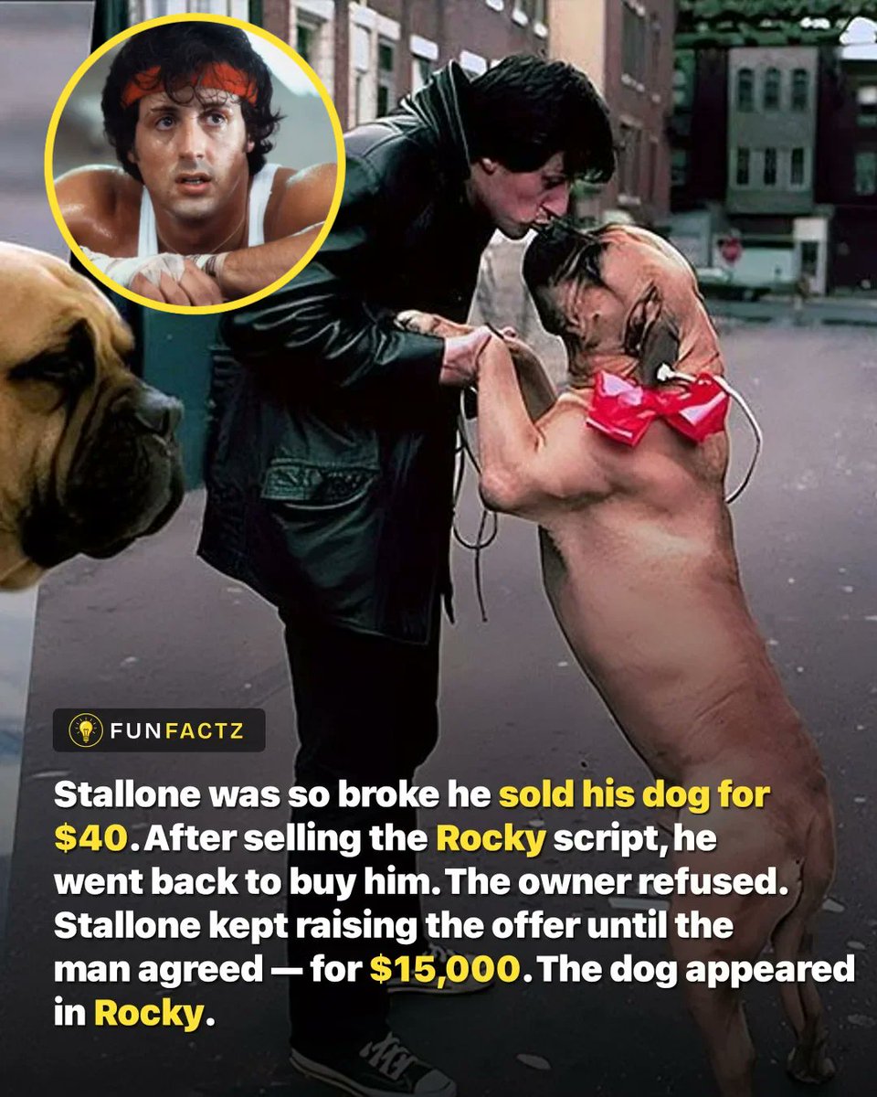 Fun Facts tweet media