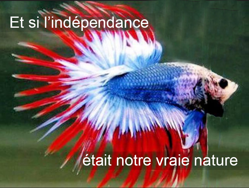 empreinte_com's tweet photo. La souveraineté numérique est-elle un poisson d'avril ? 
Pour https://t.co/oM8BMWC2R1 comme https://t.co/fuD8cfehzR et La CNAM la réponse est non : l'indépendance technologique n'est ni un poisson d'Avril, ni une sirène, ni un naufrage annoncé.
 
📌 L'indépendance technologique est un objectif stratégique : 
- une opportunité d'action, 
- un enjeu d'organisation, 
- un objectif de conformité, 
- un chantier d'amélioration continue.

👉 Pour cela, https://t.co/oM8BMWC2R1 soutien avec conviction des grands acteurs comme la Caisse nationale de l’Assurance Maladie et des organisations engagées comme Alliancy - numérique et https://t.co/Sk0MQj3jaO

👉 Pour cela, notre SOLUTION WEBINAR SOUVERAINE diffusera les échanges de l'INDEPENDANCE TECH (et ce n'est pas un poisson d'avril).

✅ Nous vous invitons le 1er Avril de 17h00 à 18h00 à suivre cette nouvelle conférence diffusée avec la solution souveraine https://t.co/oM8BMWC2R1 sur https://t.co/fuD8cfehzR

DSI : Stratégie de sortie & Liberté d'action – Le temps du jeu collectif (REX CNAM), avec :
- Bintou Boïté, DSI de la CNAM
- Laurent Gibelli Directeur Technique et Sécurité de la CNAM
- Sylvain Fievet, Alliancy
 
Inscrivez-vous en ligne :
📅 Date : Mercredi 1er avril
🕒 Horaire : 17h00 - 18h00
📍 Lien : https://t.co/PpKVwzv4s2

Vous aussi, participez à l’indépendance Technologique.
💙 🤍 ❤️