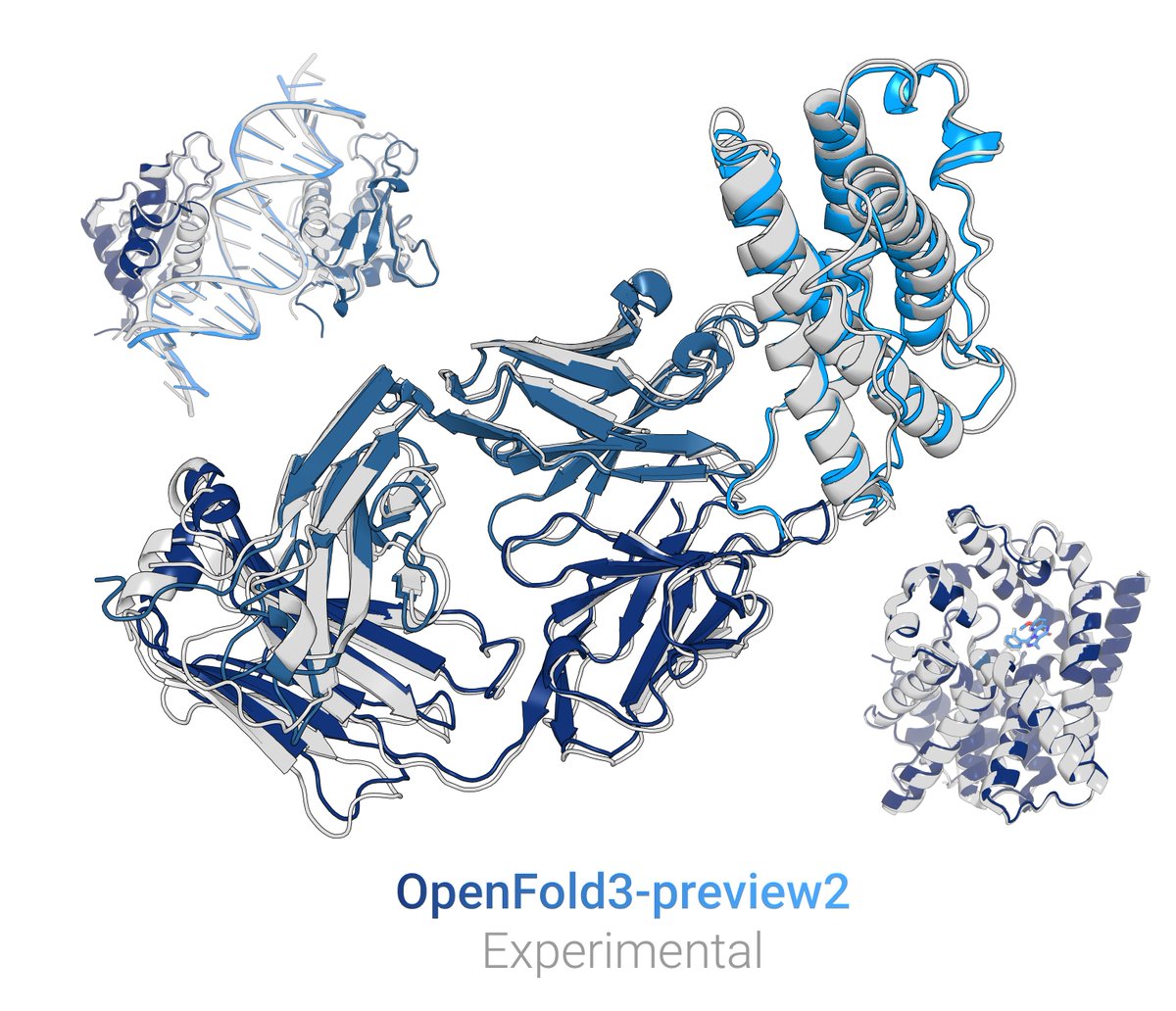 Deniz Kavi tweet media