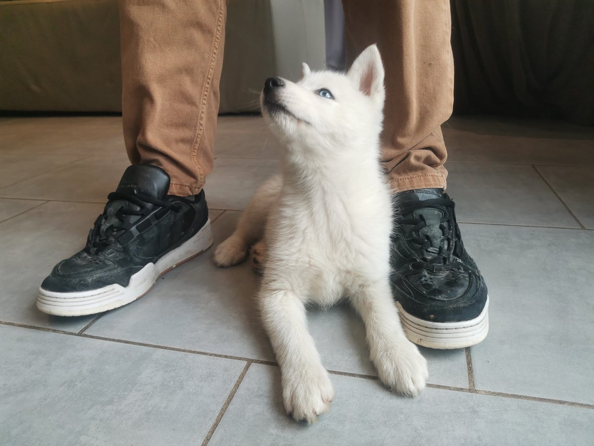 𝕬𝔳𝔞 🌹 tweet media