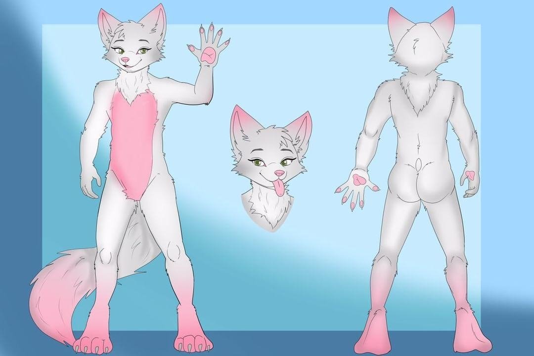 Alex the Arctic Fox tweet media