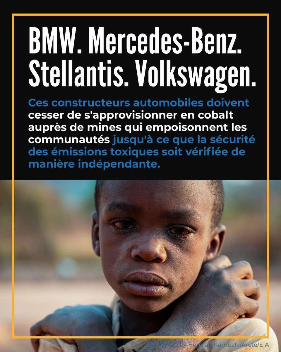 Environmental Investigation Agency U.S. tweet media