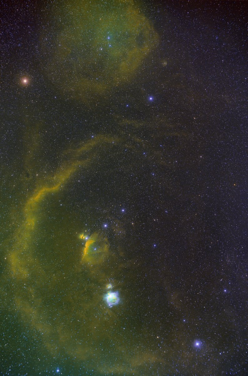 がんま tweet media