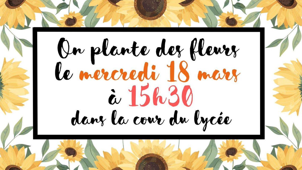 Lycée Jeanne d'Arc Rouen tweet media