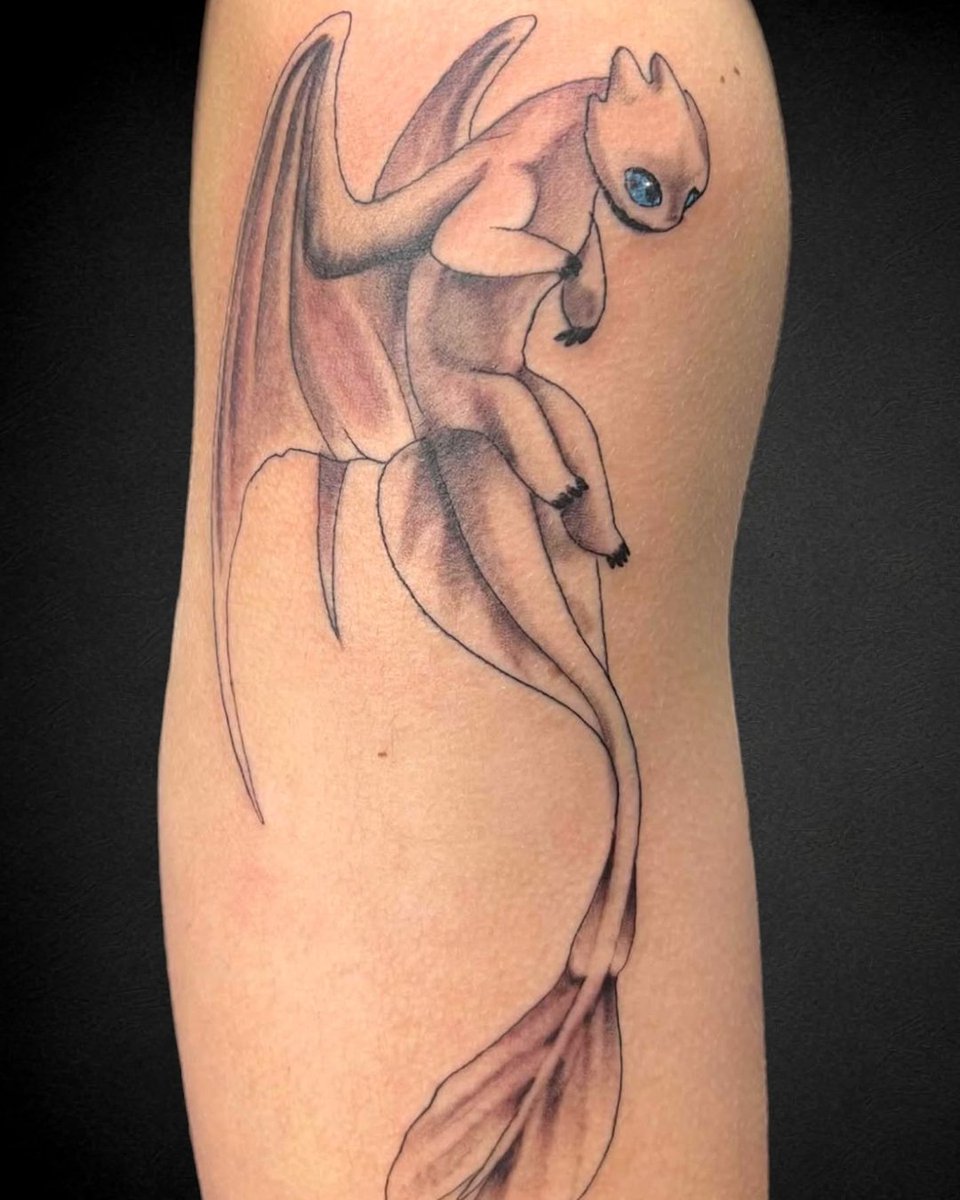 #HowToTrainYourDragon tweet media