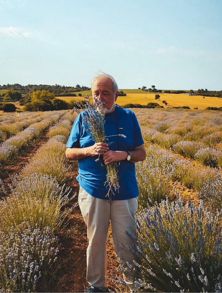 Lütfi Elvan tweet media