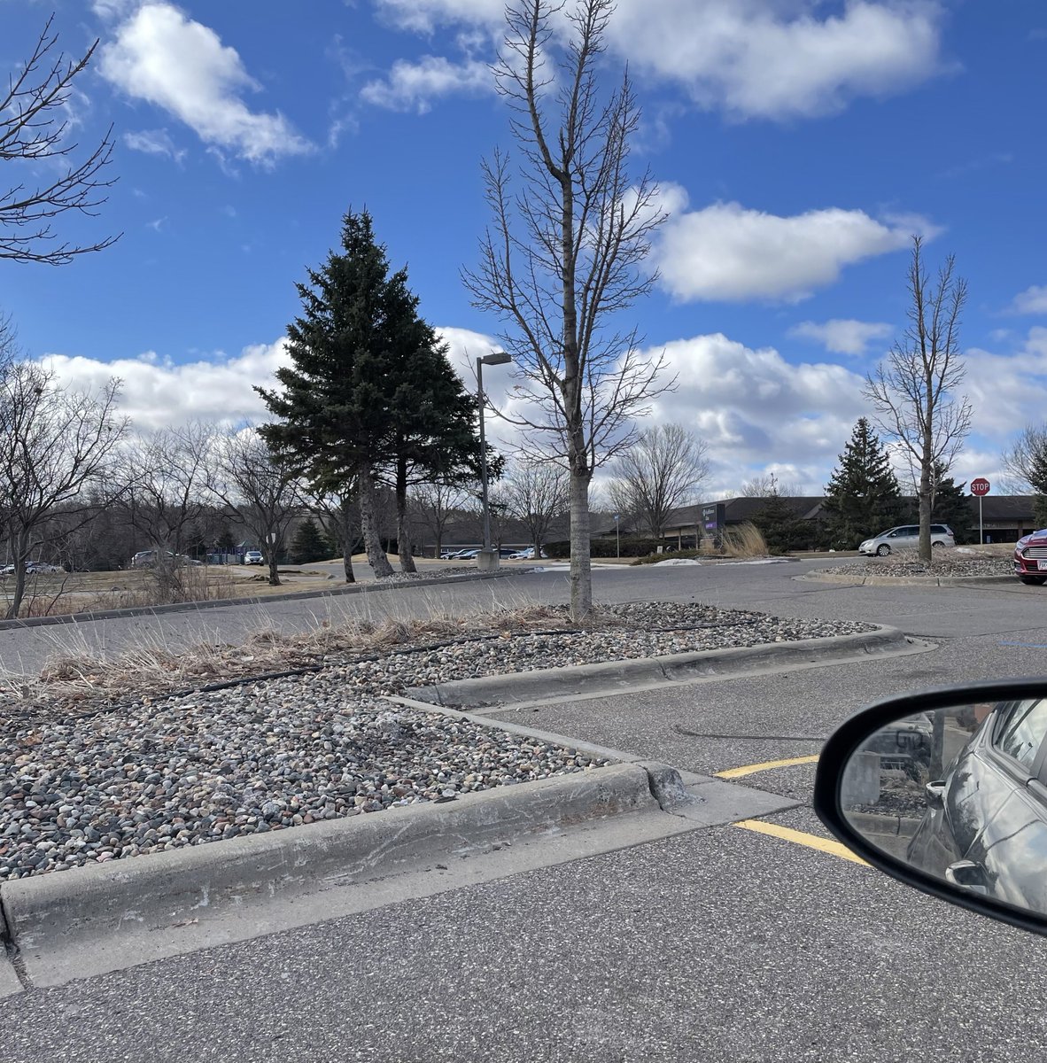 boliviafang tweet media