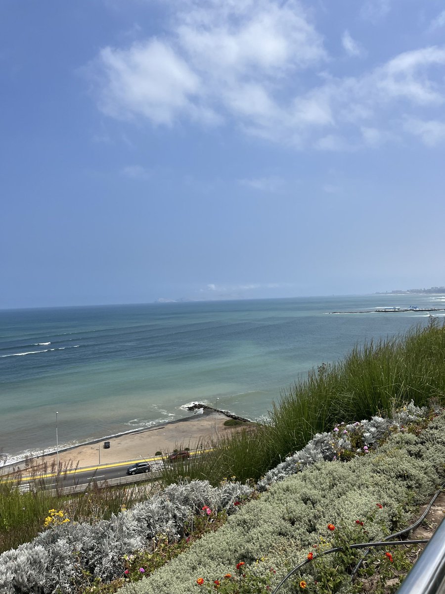 Graeme Lamperson tweet media