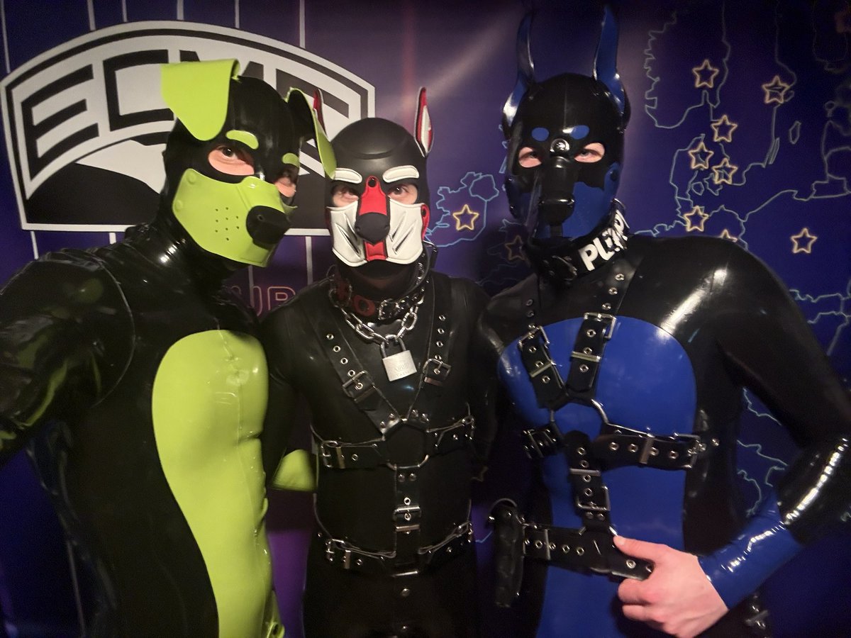 Pup Siva🇳🇴 tweet media