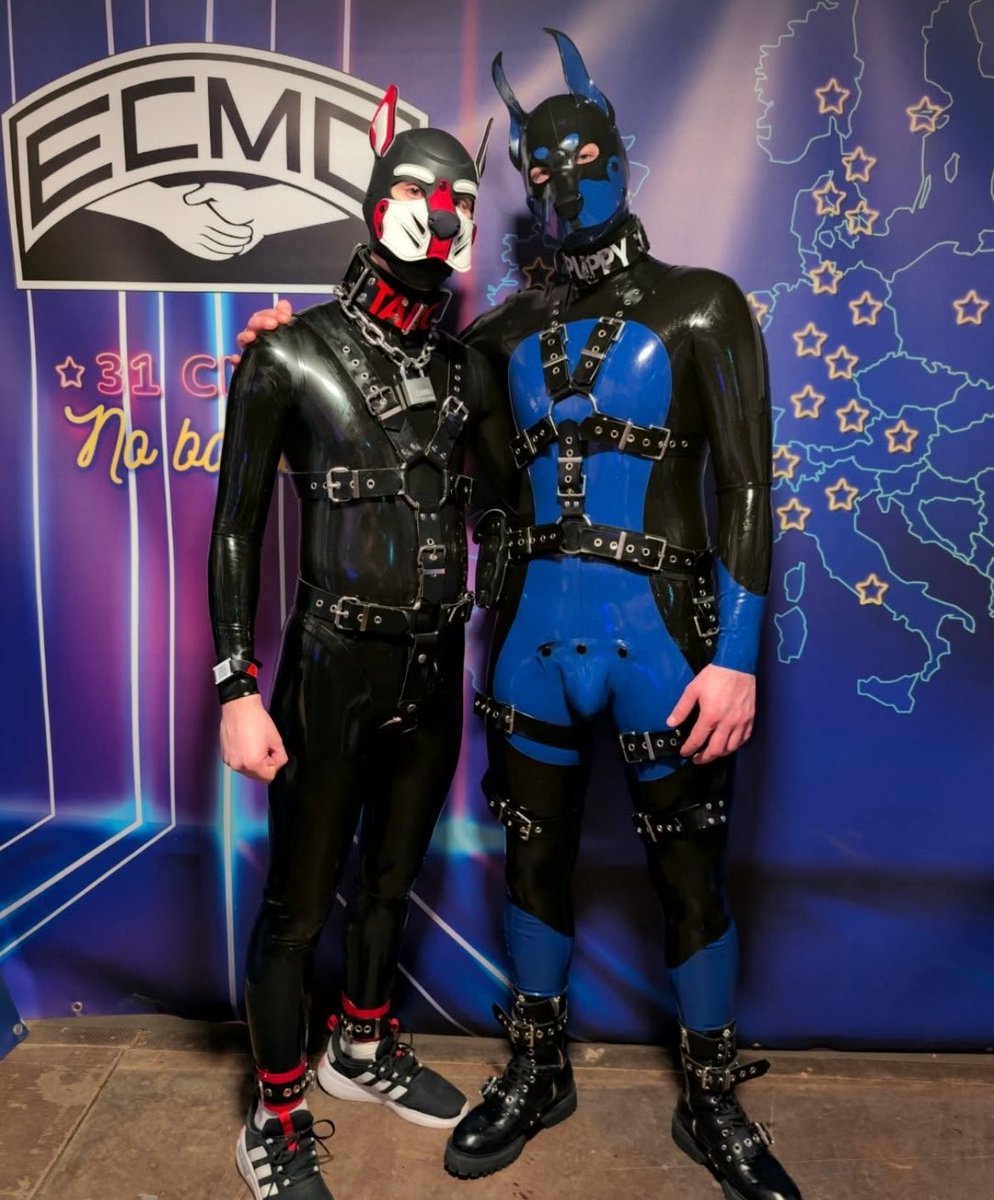 Pup Siva🇳🇴 tweet media