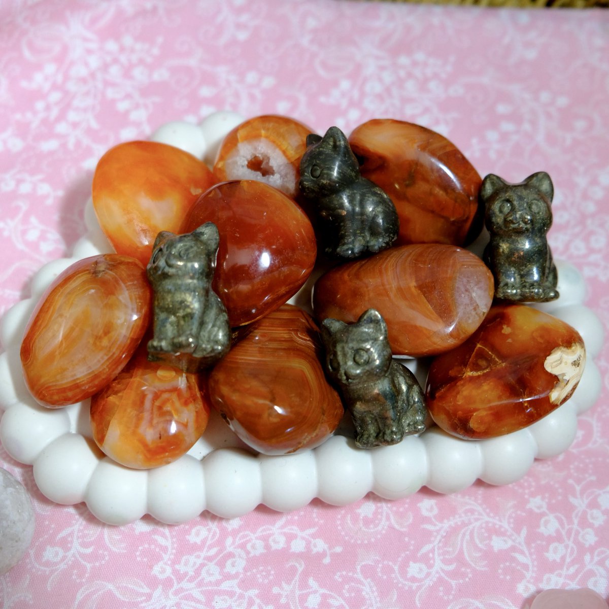 The Faery Grove 🫧 tweet media