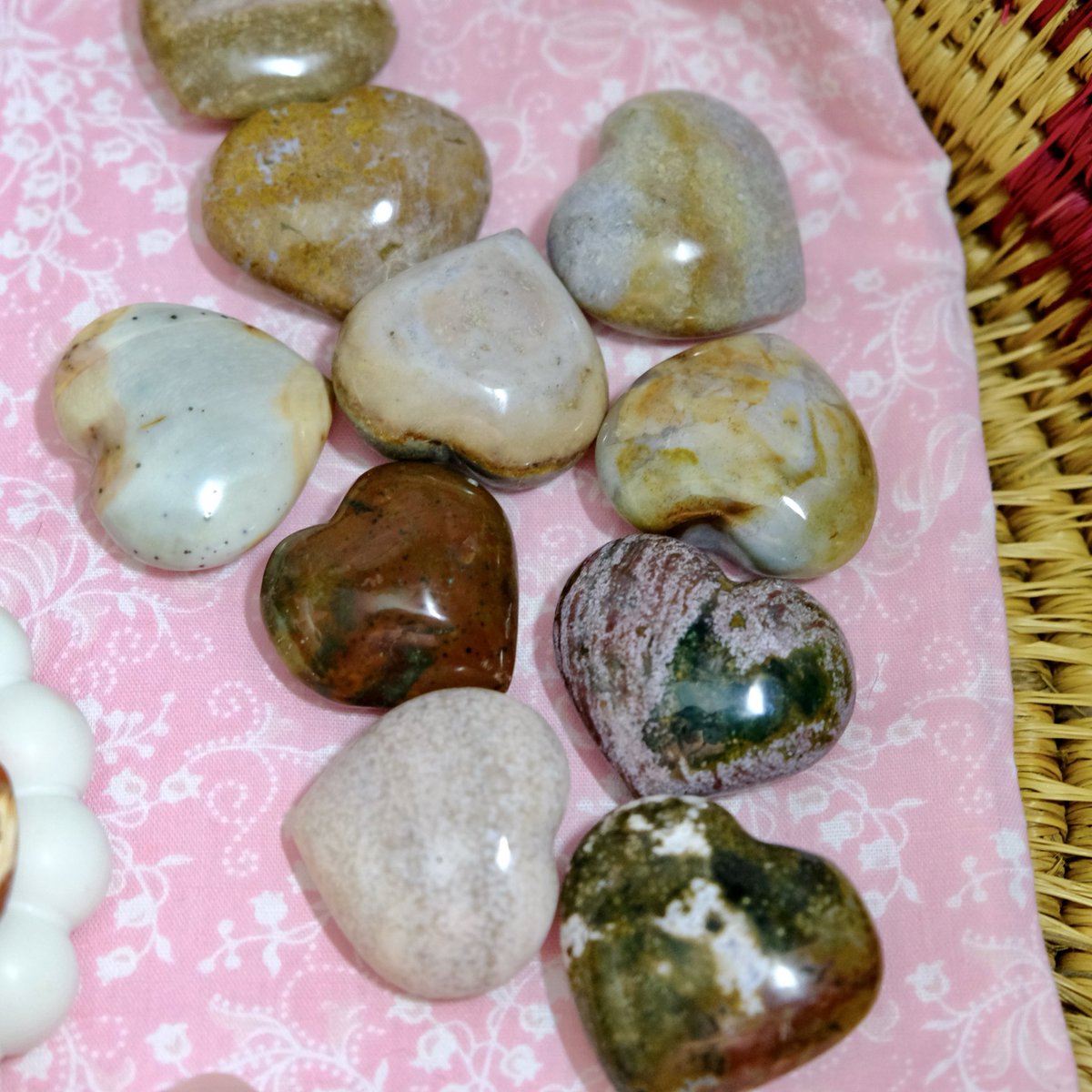 The Faery Grove 🫧 tweet media