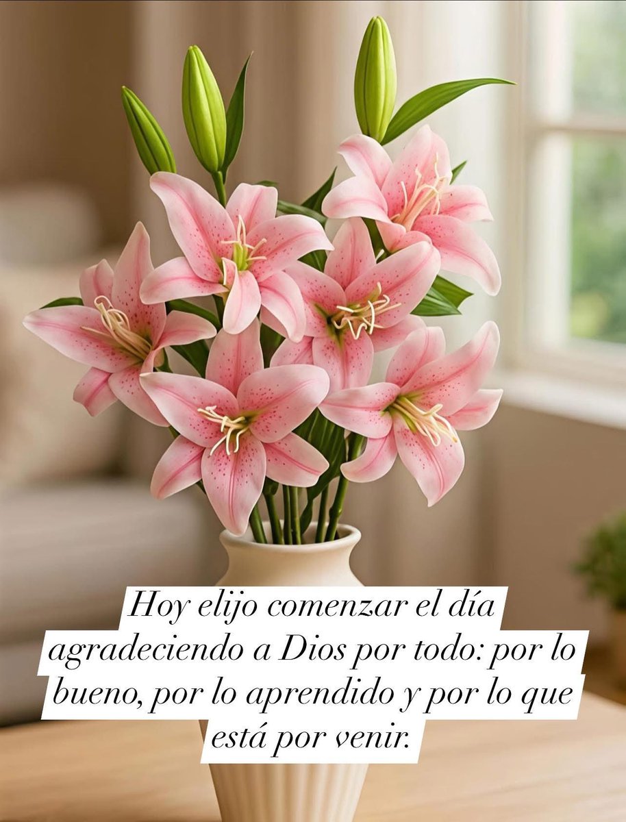 ¡Que tengan un #FelizViernes! Deseo que culminen esta semana con éxito y lleno de bendiciones.✨