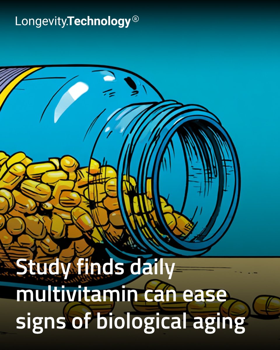 LongevityTech's tweet photo. New research shows simple daily supplements could slow biological aging, especially in those already aging faster than their years.

https://t.co/rqQxcSsaxt

#longevity #HealthyAging #BiologicalAge #Supplements #Nutrition #PreventiveHealth #AgingResearch https://t.co/ysWyoDa1qd