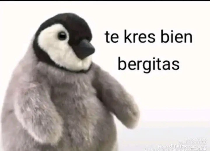 🥒tey quirisi tweet media