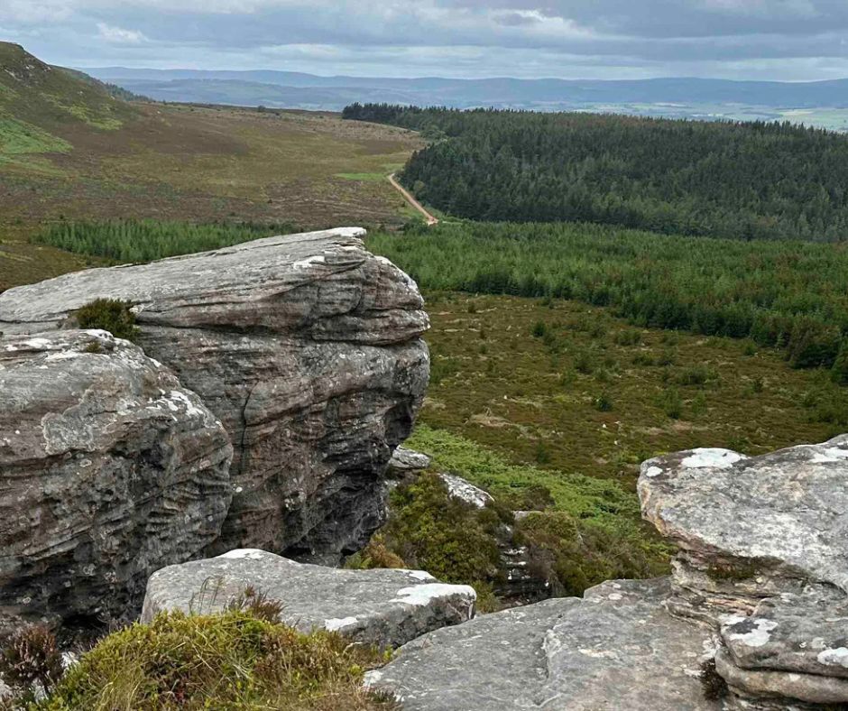 Jon, Shepherds Walks tweet media