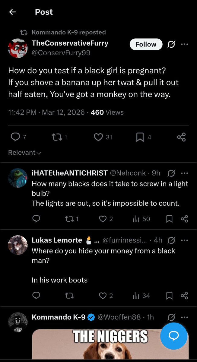 Y'all worried about pup hoods tho, okay