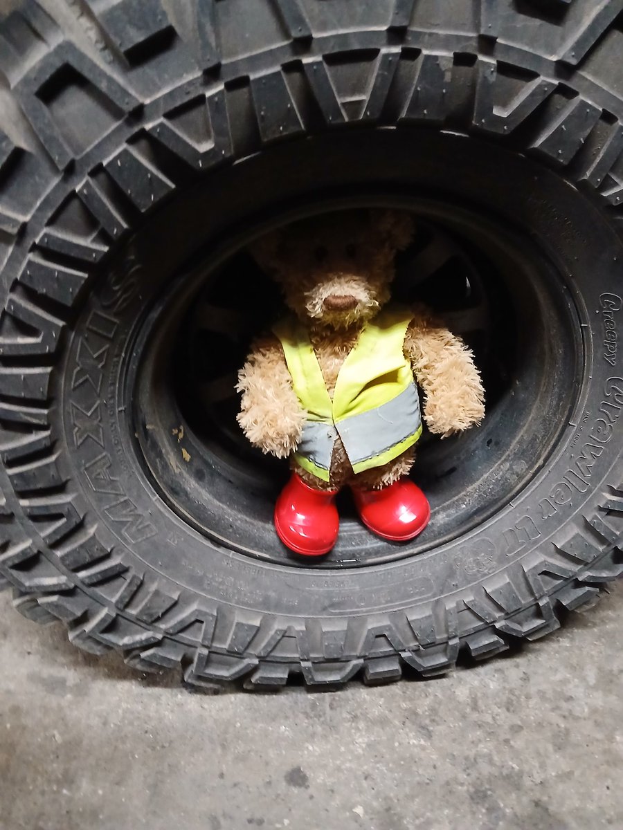 Edward🐻 tweet media