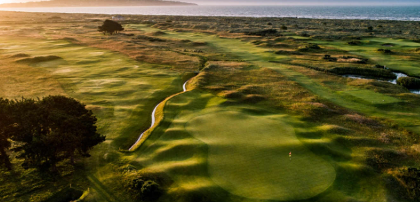 Morgan Bell tweet media