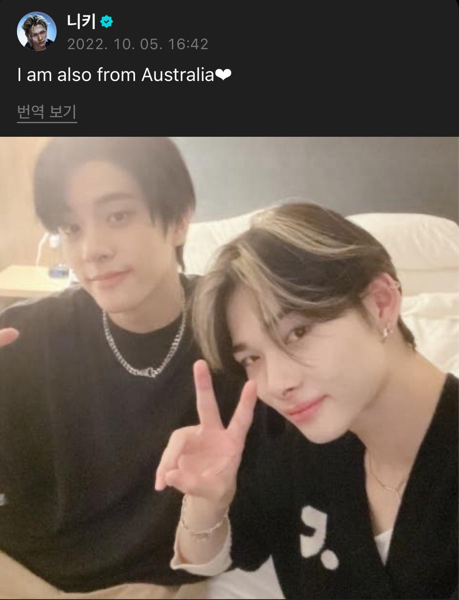 닠젴 아카이브 tweet media