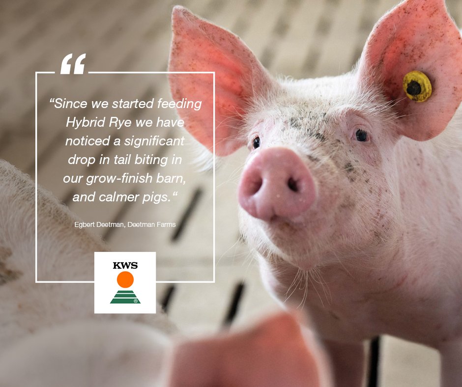 KWS Canada tweet media