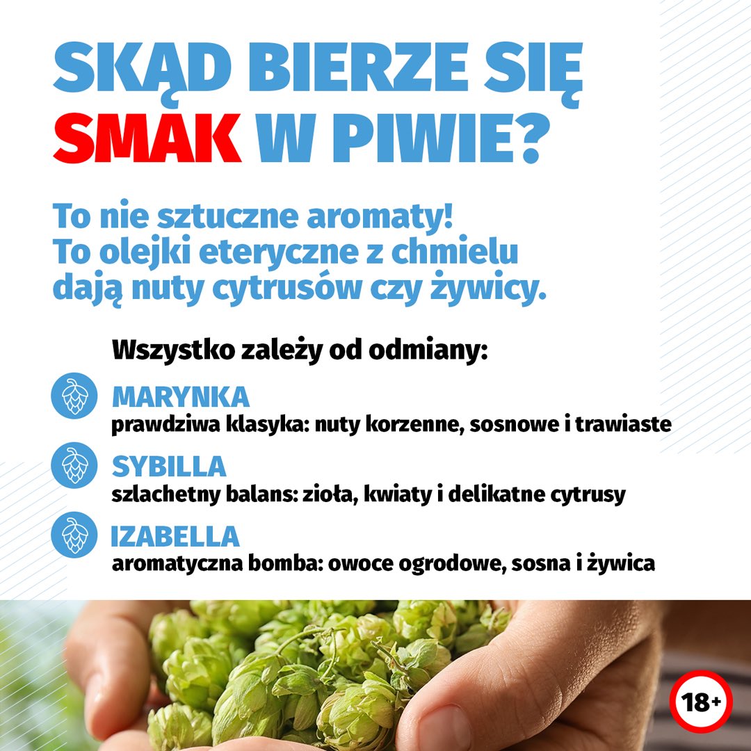 Rynek piwa bezalkoholowego w Polsce tweet media