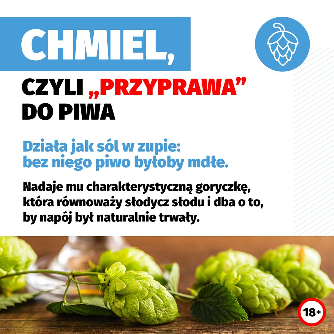 Rynek piwa bezalkoholowego w Polsce tweet media