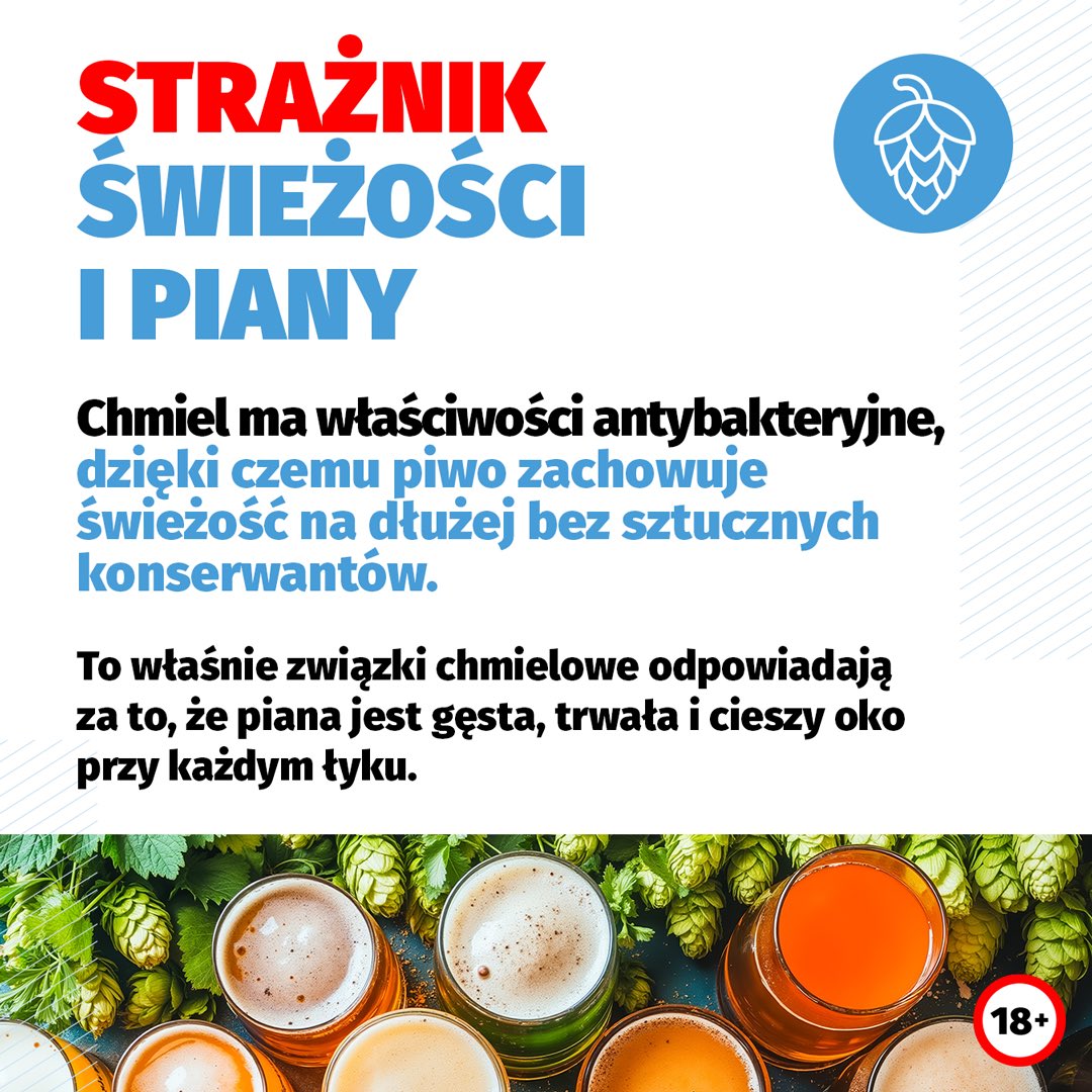 Rynek piwa bezalkoholowego w Polsce tweet media