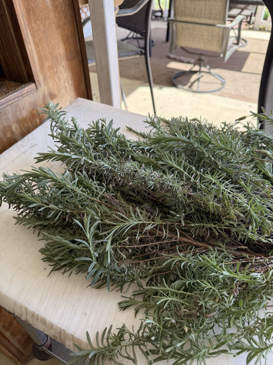 SD in SC tweet media