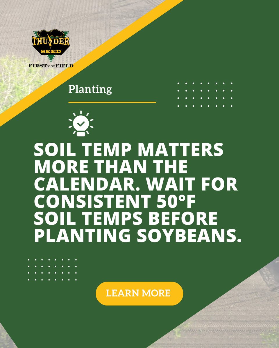 Thunder Seed tweet media