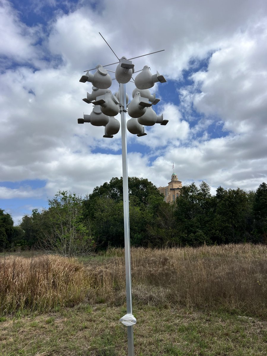 Native Bird Boxes tweet media