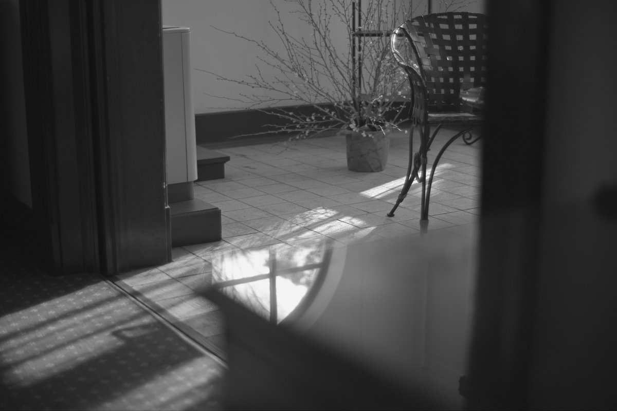 H96m6's tweet photo. NikonZFC/ NOKTON d35mm f1.2
この間、初めて参加したフォトウォークで撮ったお気に入りの4枚📷

#カメラ初心者
#カメラ友達募集
#カメラ好きなひとと繋がりたい
#写真好きなひとと繋がりたい
#被写体募集中 https://t.co/2Q23TAdXVX