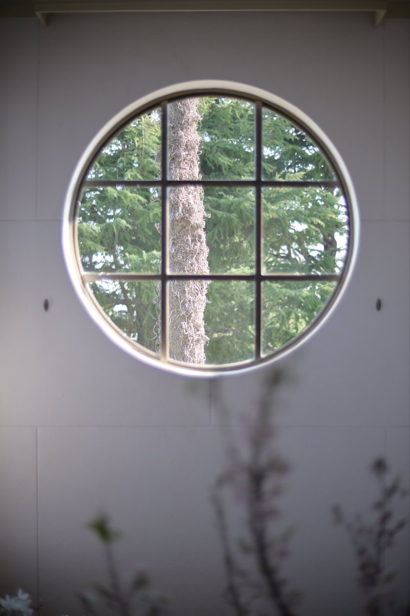H96m6's tweet photo. NikonZFC/ NOKTON d35mm f1.2
この間、初めて参加したフォトウォークで撮ったお気に入りの4枚📷

#カメラ初心者
#カメラ友達募集
#カメラ好きなひとと繋がりたい
#写真好きなひとと繋がりたい
#被写体募集中 https://t.co/2Q23TAdXVX