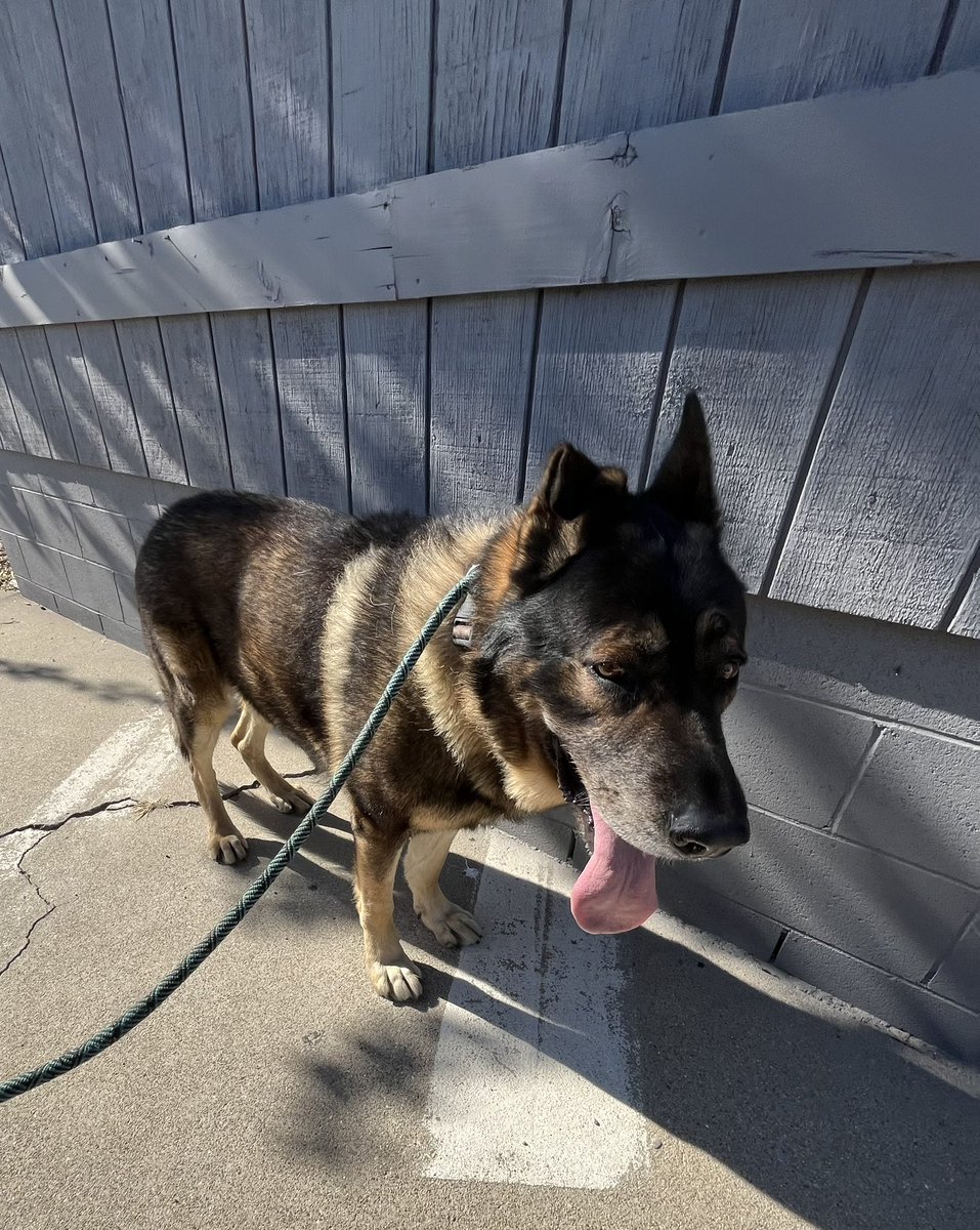 Santa Paula Police Department tweet media