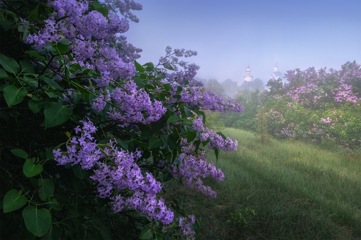 ✮⋆˙ (@dmugg7) on Twitter photo 