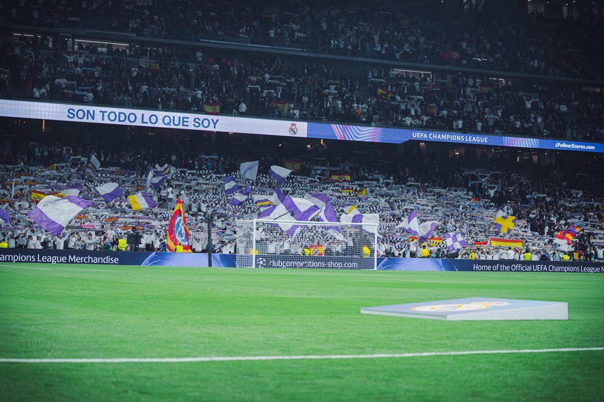 NorthFansRmcf🐺 tweet media