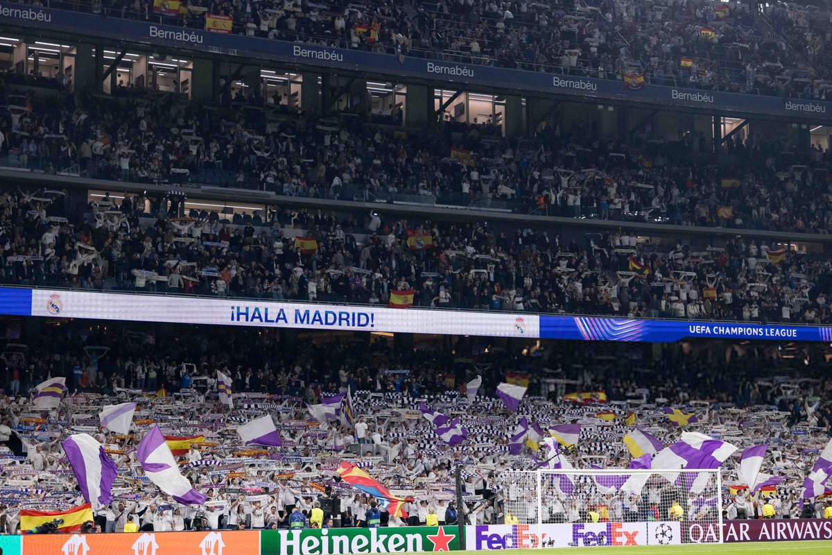 NorthFansRmcf🐺 tweet media