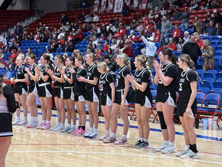Congratulations to our Rock Creek Lady Mustangs again for their 3rd place State Finish!
