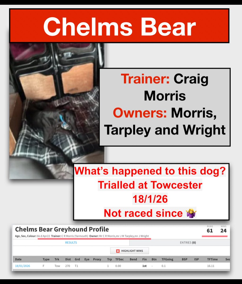 Robbie Grey#proudtobeananimalextremist tweet media