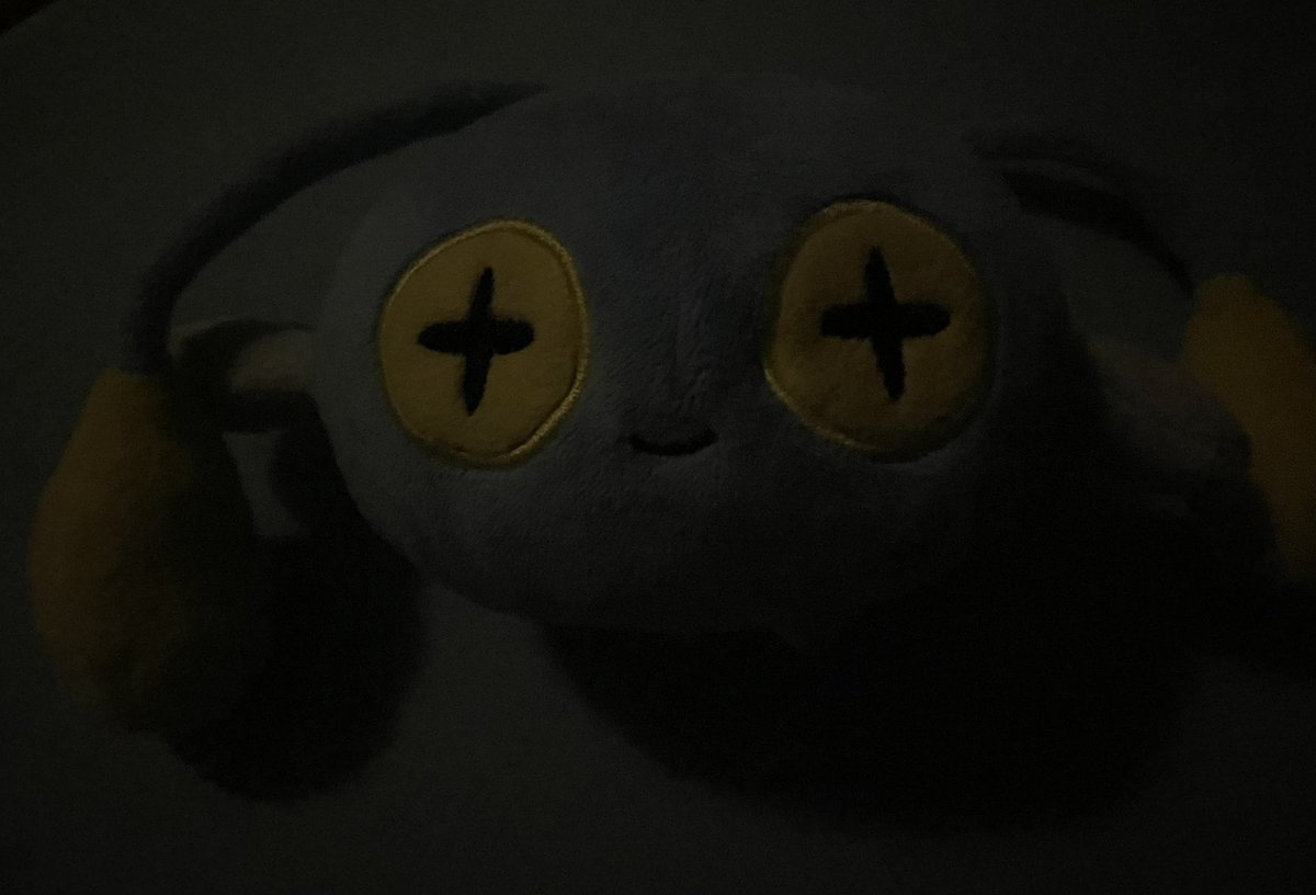 チョンチーの日記 tweet media