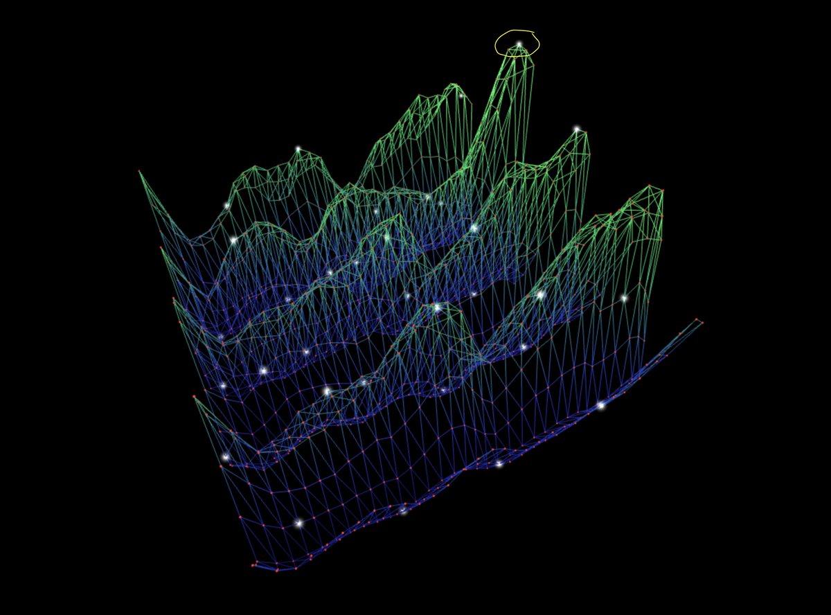 Steve Tippeconnic tweet media