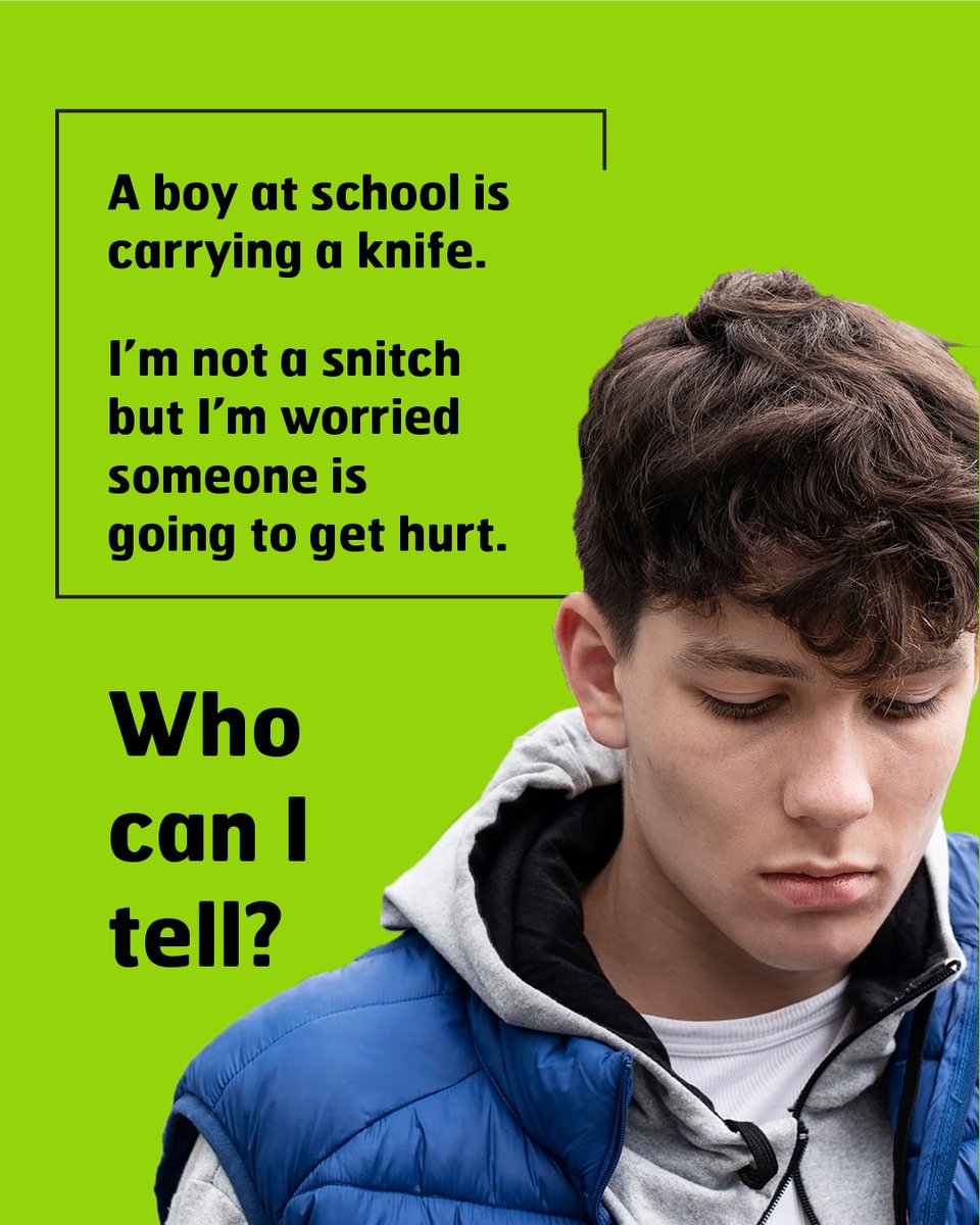 fearless.org tweet media