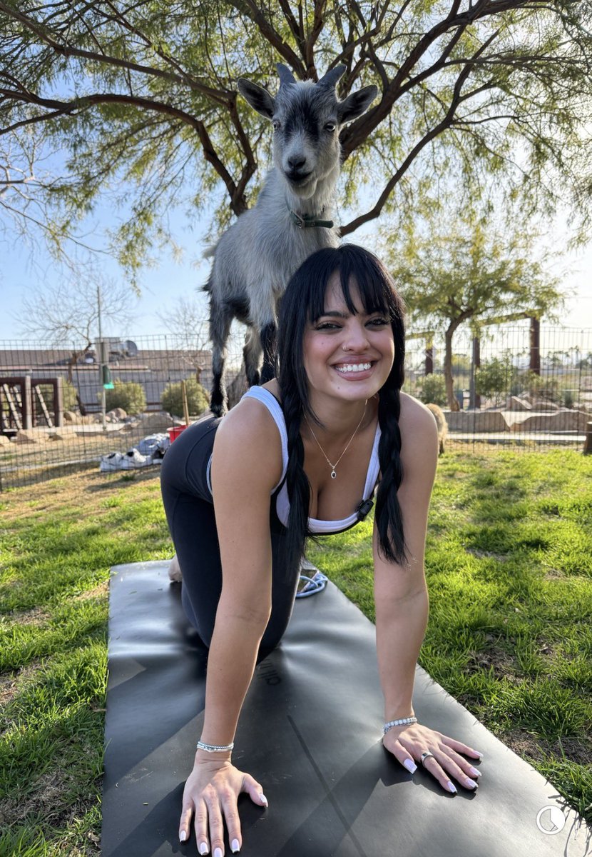 Nina-Marie Daniele tweet media