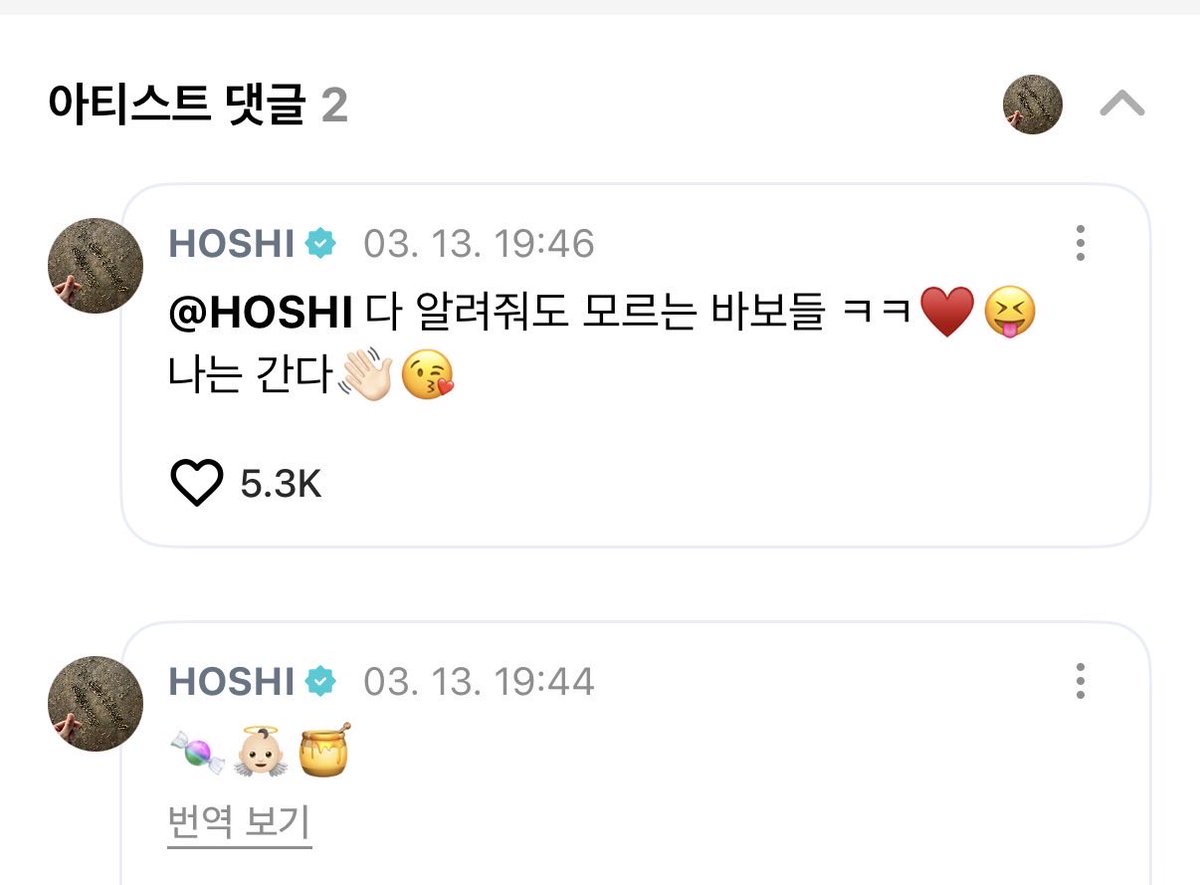 (호)랑해🐯 tweet media
