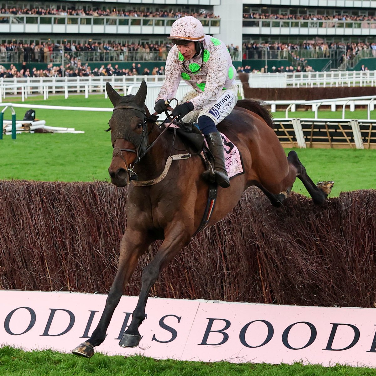 Racing Post tweet media