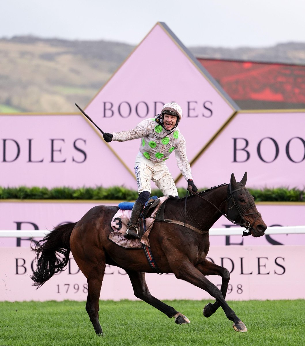 Timeform tweet media