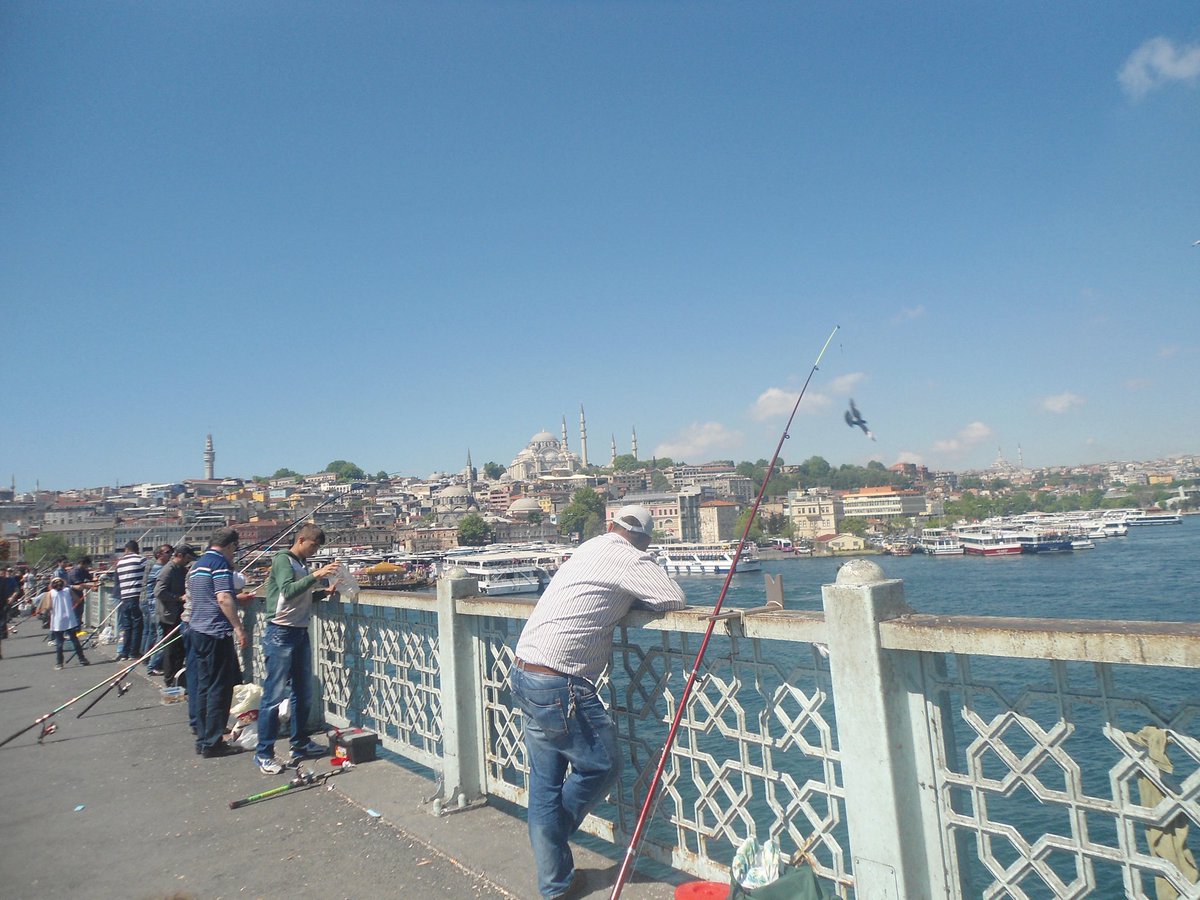 Öykü Derin Aksel tweet media