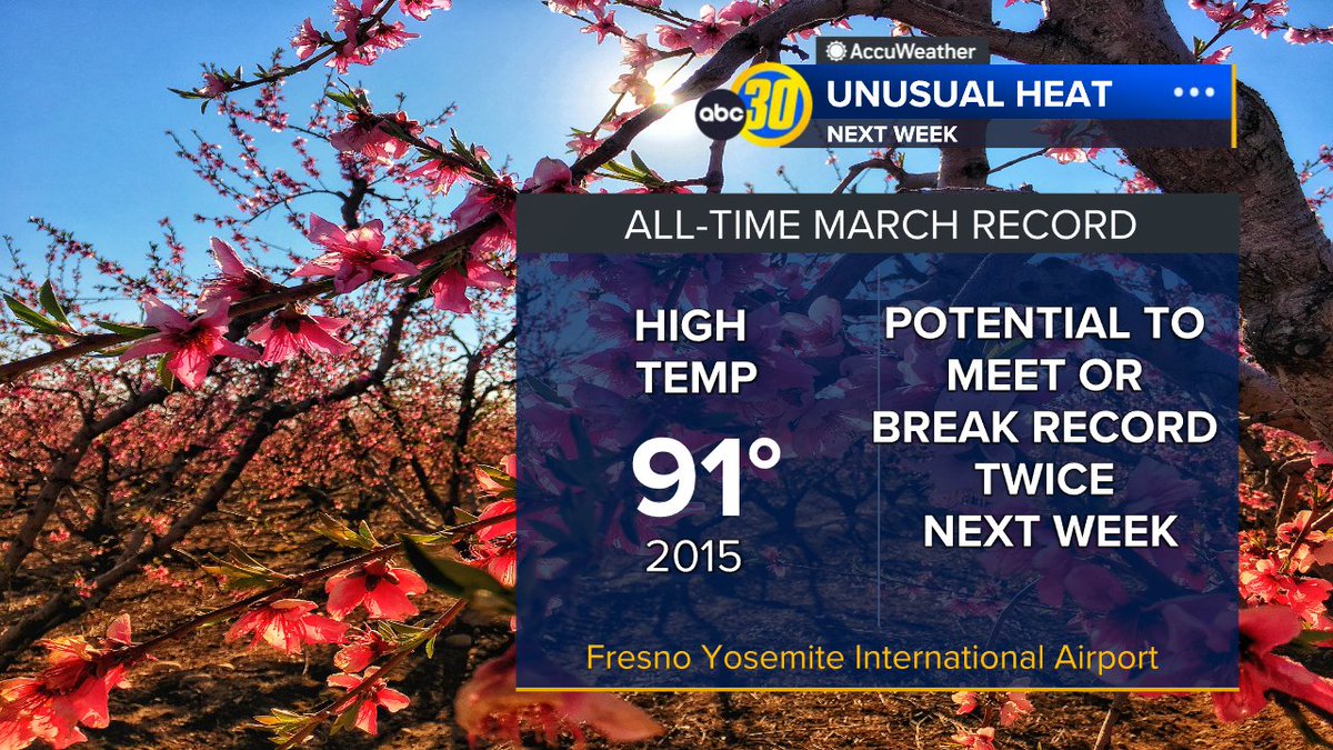 Christine Gregory tweet media