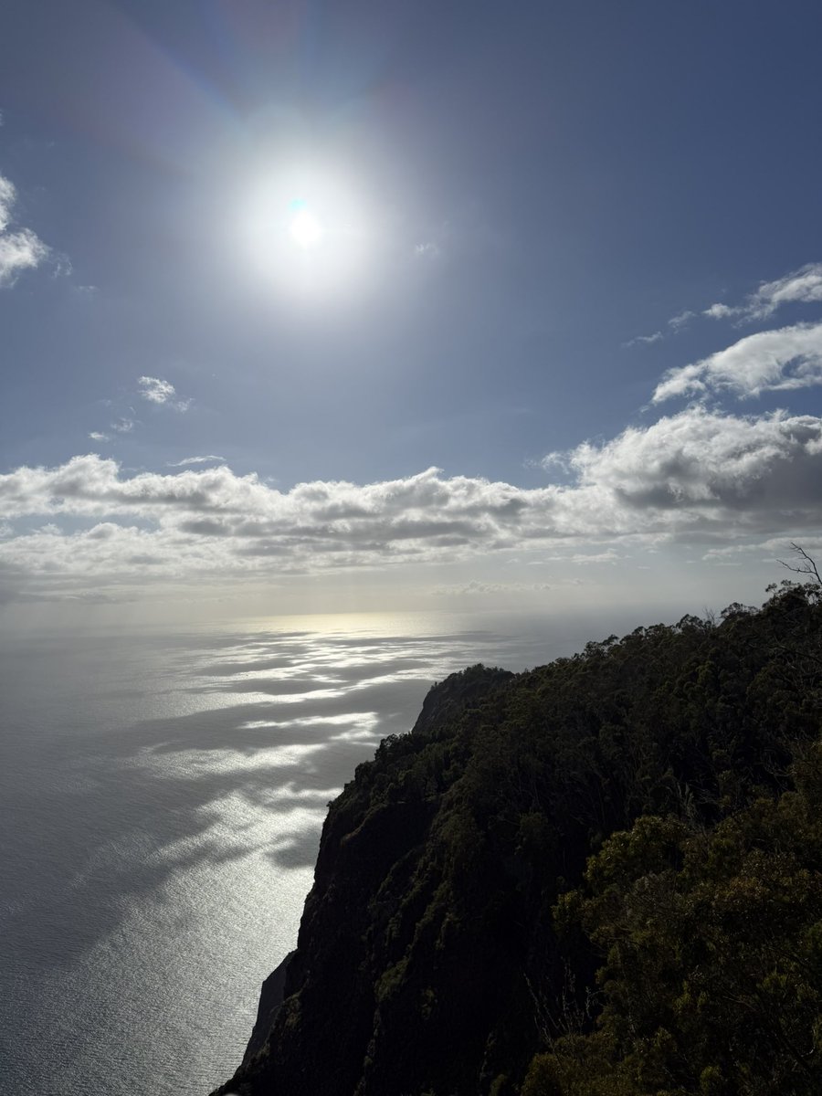 Nya 🇳🇱 tweet media