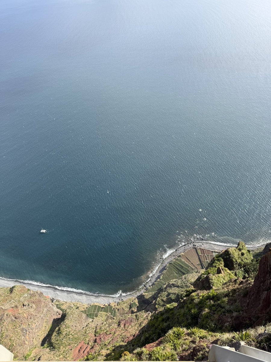 Nya 🇳🇱 tweet media